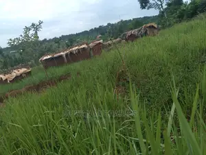 100x70ft Plot of Land for Sale in Kyanja Kungu