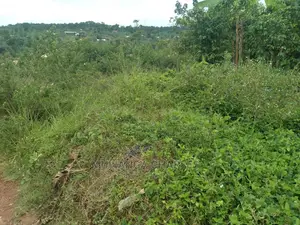 100x70ft Plot of Land for Sale in Kyanja Kungu
