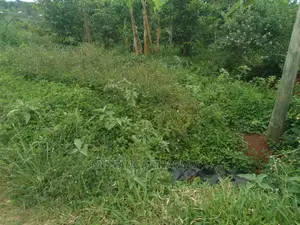 100x70ft Plot of Land for Sale in Kyanja Kungu