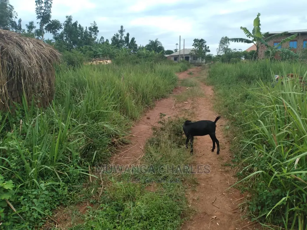 100x70ft Plot of Land for Sale in Kyanja Kungu