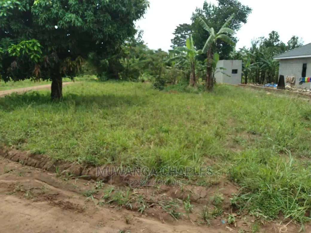 100x70ft Plot of Land for Sale in Kyanja Kungu