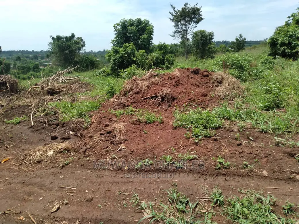 100x70ft Plot of Land for Sale in Kyanja Kungu