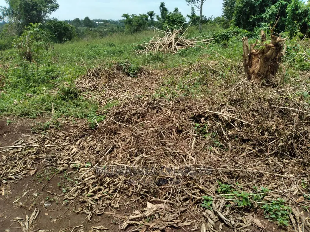 100x70ft Plot of Land for Sale in Kyanja Kungu