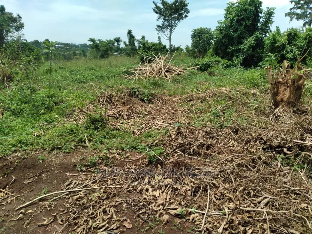100x70ft Plot of Land for Sale in Kyanja Kungu
