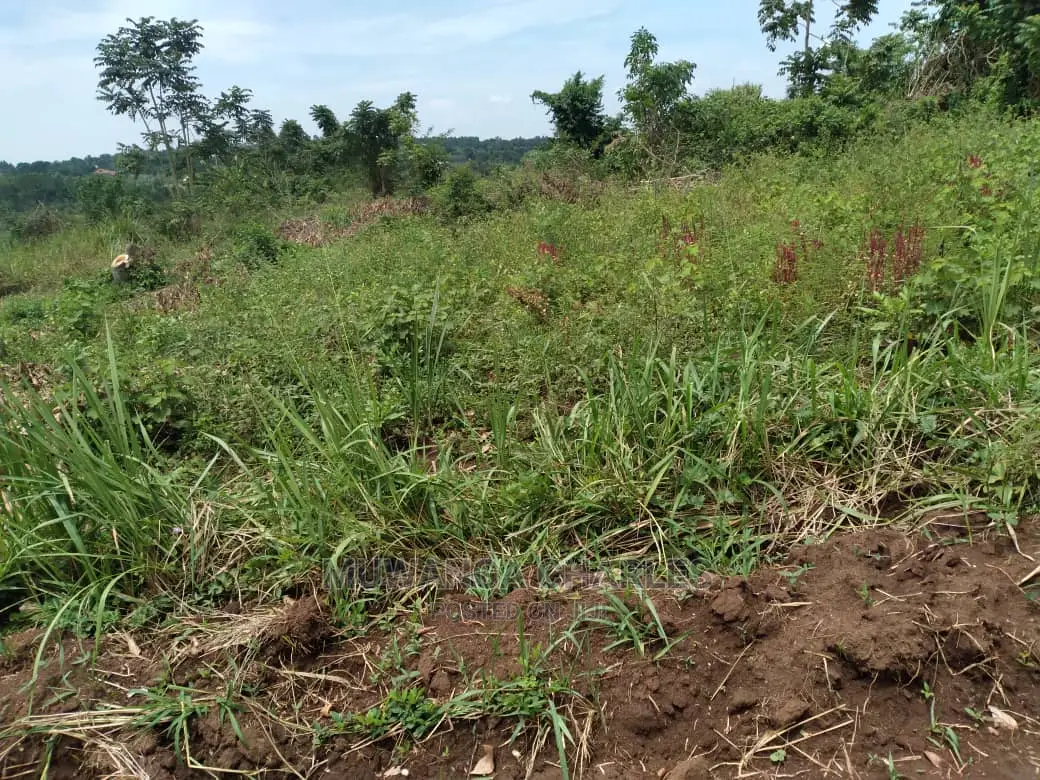 100x70ft Plot of Land for Sale in Kyanja Kungu