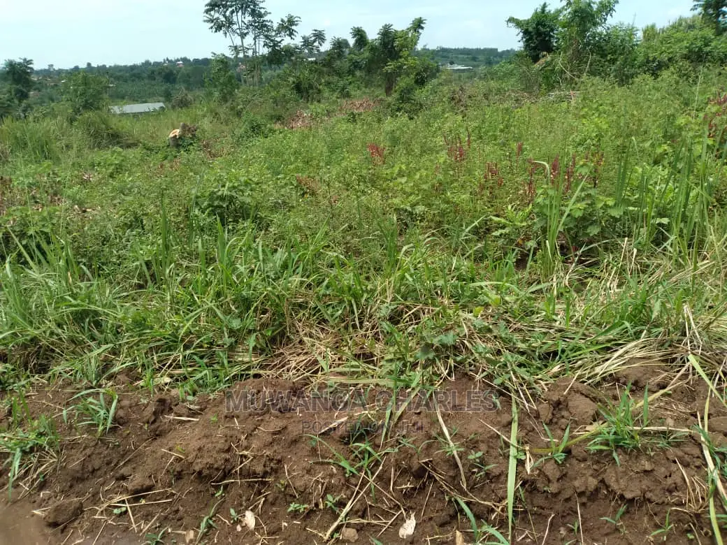 100x70ft Plot of Land for Sale in Kyanja Kungu