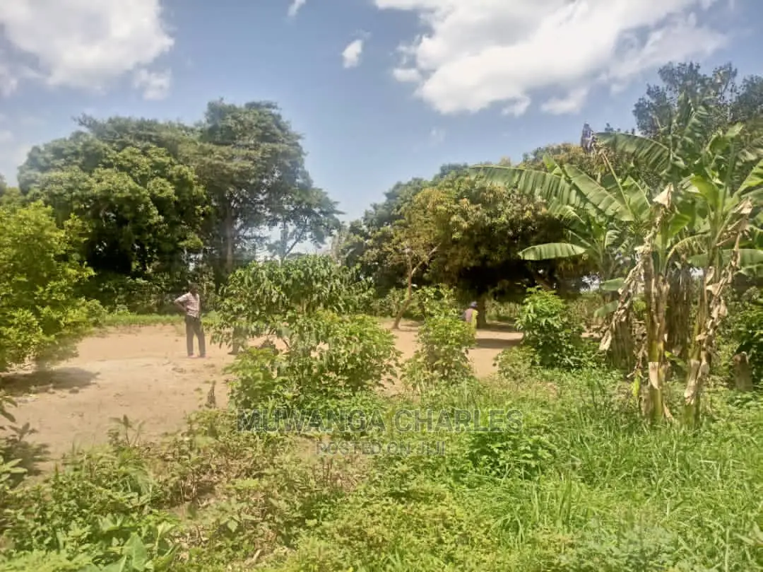 5acres of Land for Sale in Zirobwe