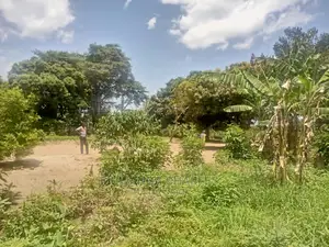 5acres of Land for Sale in Zirobwe