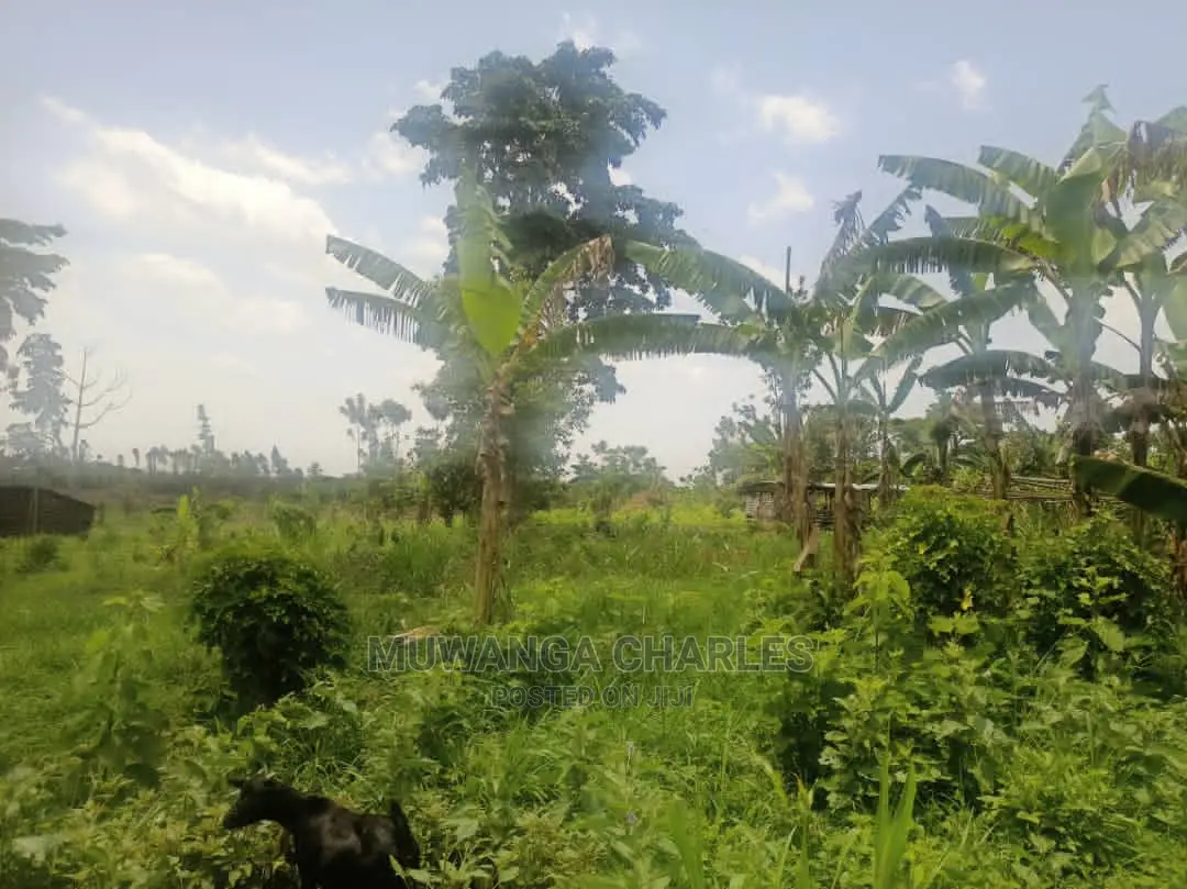 5acres of Land for Sale in Zirobwe