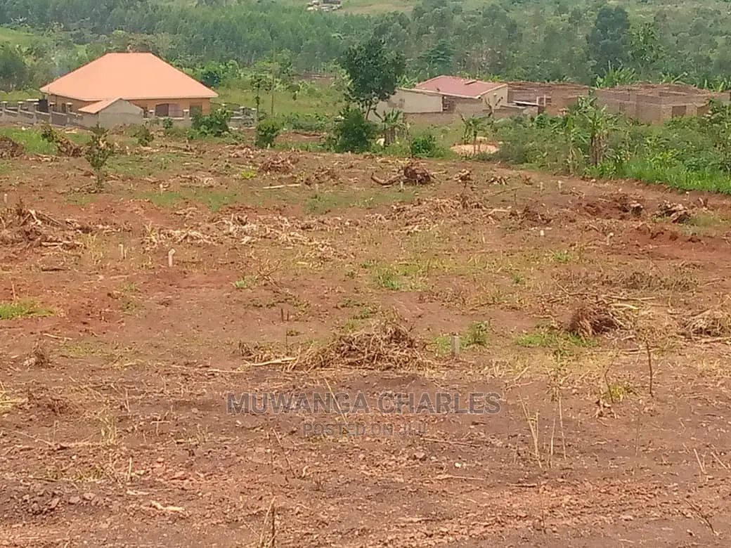 100x100ft Plot of Land for Sale in Buwate
