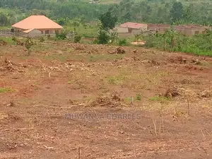 100x100ft Plot of Land for Sale in Buwate