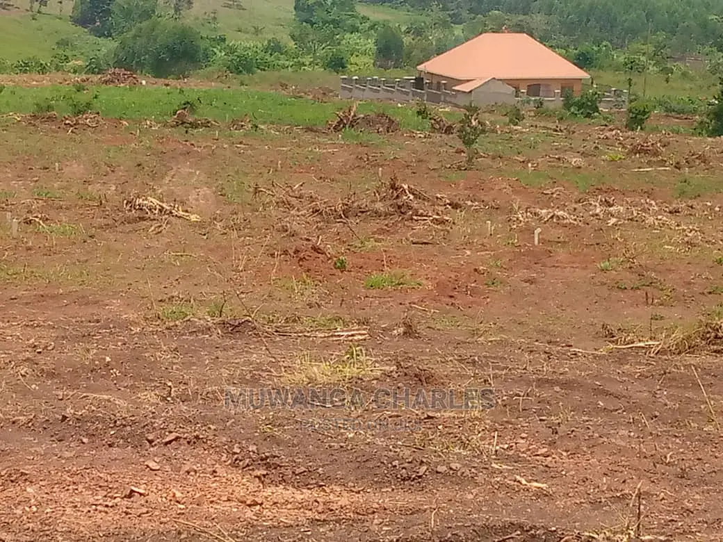 100x100ft Plot of Land for Sale in Buwate