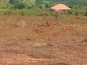 100x100ft Plot of Land for Sale in Buwate