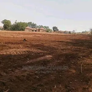 100x100ft Plot of Land for Sale in Buwate