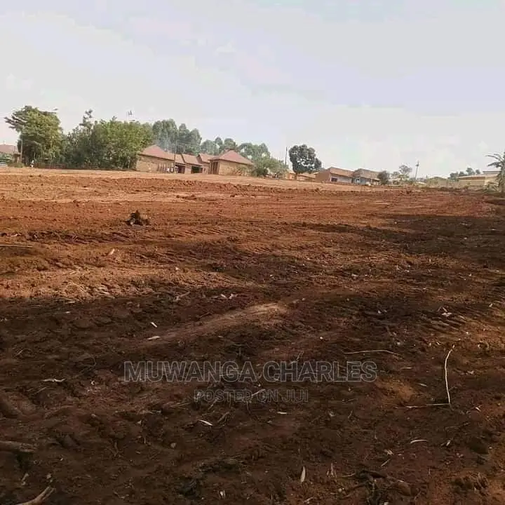 100x100ft Plot of Land for Sale in Buwate