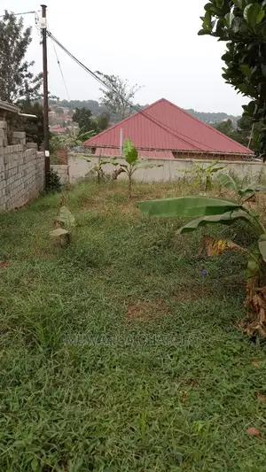 100x100ft Plot of Land for Sale in Buwate