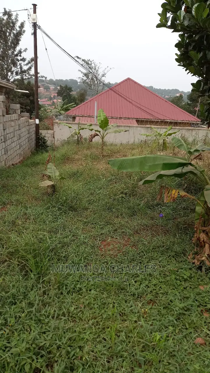100x100ft Plot of Land for Sale in Buwate