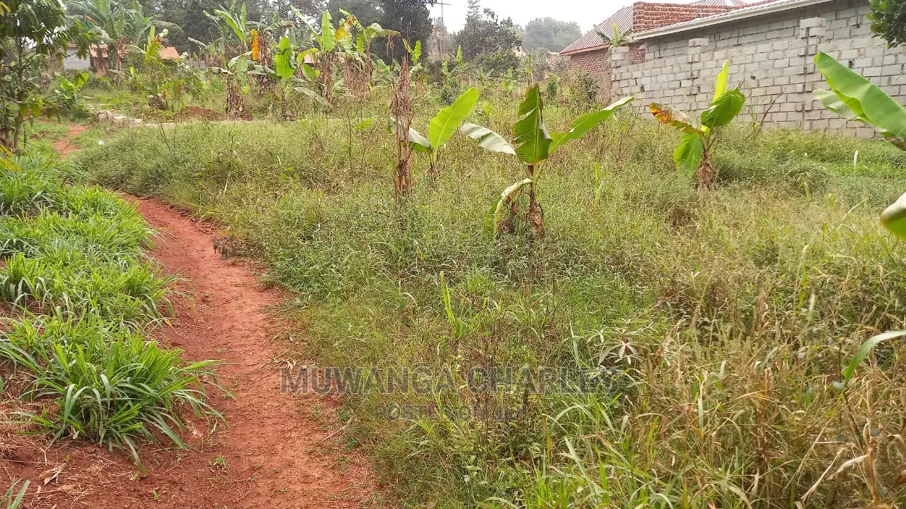 100x100ft Plot of Land for Sale in Buwate