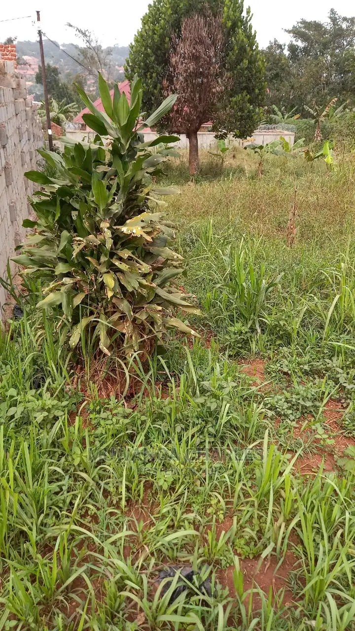 100x100ft Plot of Land for Sale in Buwate