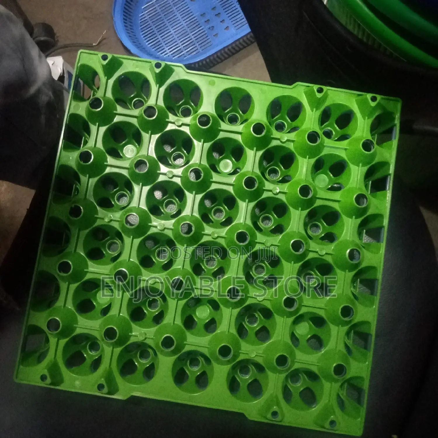 Egg Tray (Maggie)