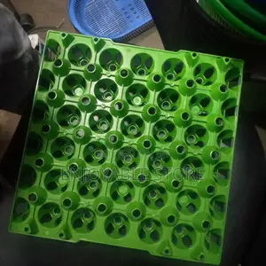 Egg Tray (Maggie)
