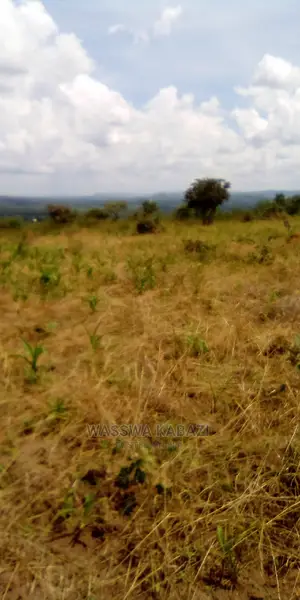 Land ,Plots and Farm for Sell in Veriety Around Uganda