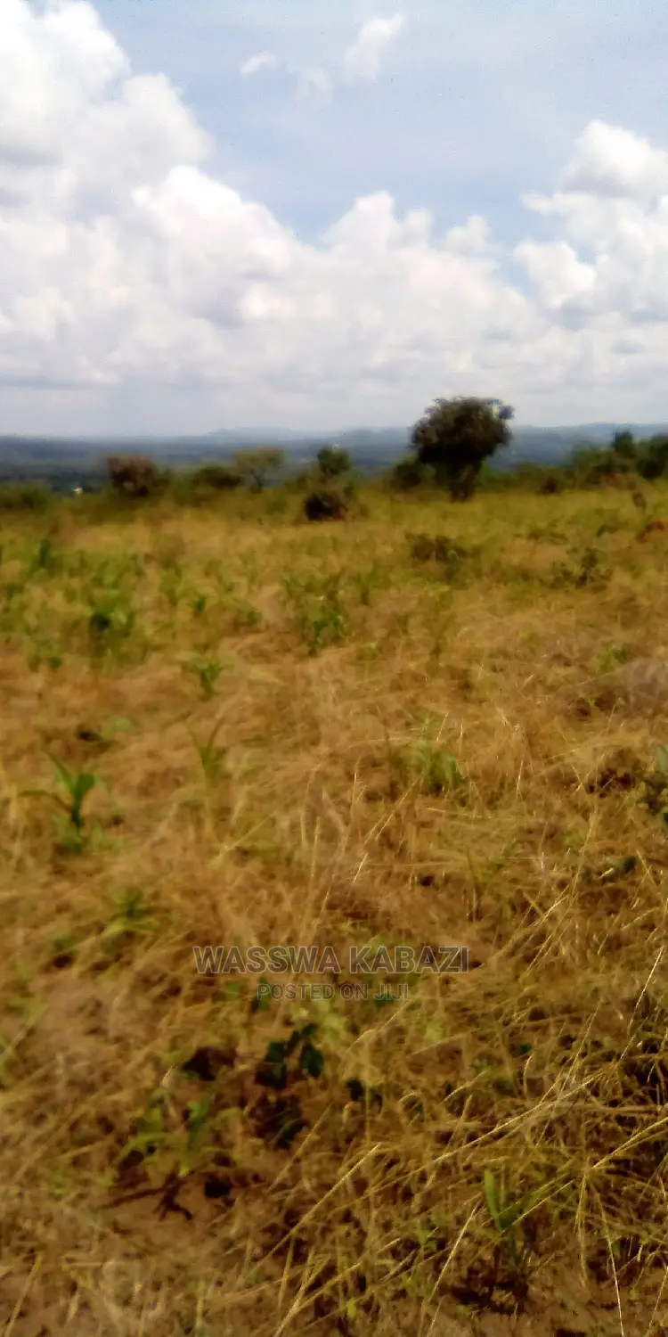 Land ,Plots and Farm for Sell in Veriety Around Uganda