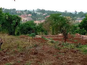 100by50ft Plot of Land for Sale in Kyana Kungu