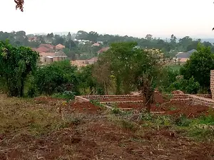 100by50ft Plot of Land for Sale in Kyana Kungu
