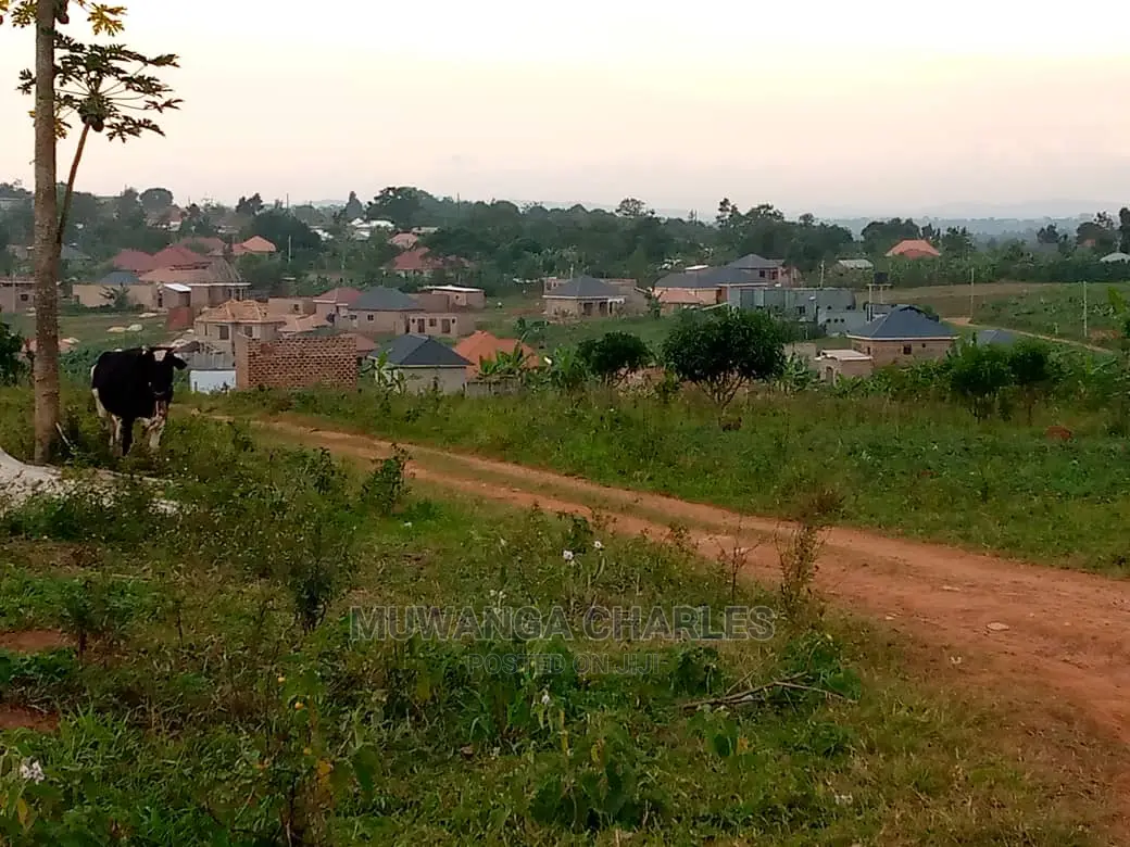 100by50ft Plot of Land for Sale in Kyana Kungu