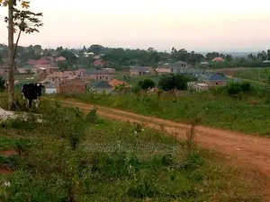 100by50ft Plot of Land for Sale in Kyana Kungu