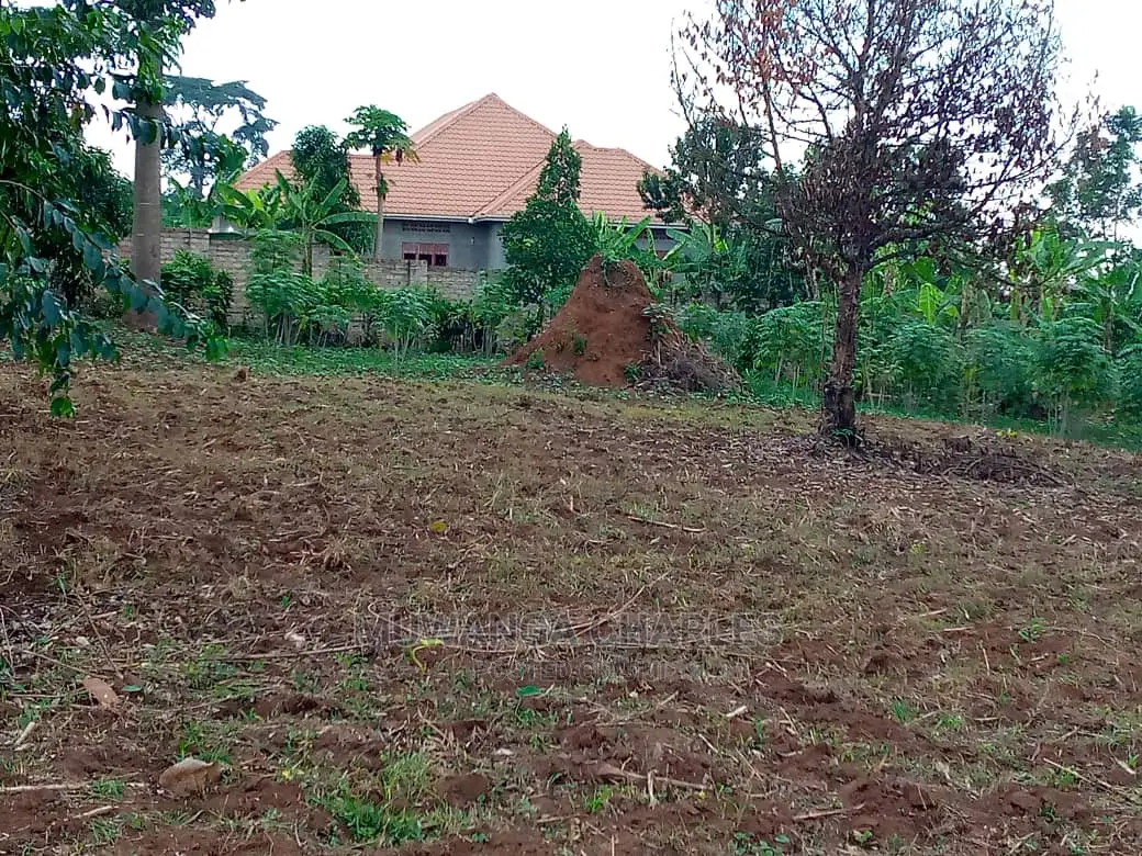 100by50ft Plot of Land for Sale in Kyana Kungu