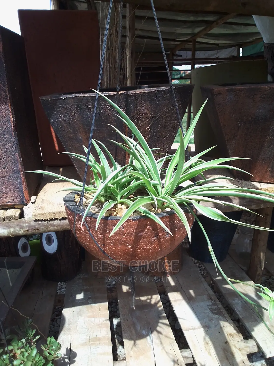 Concrete Planters, Potted Plants, Hanging Flower/Plant Pots.