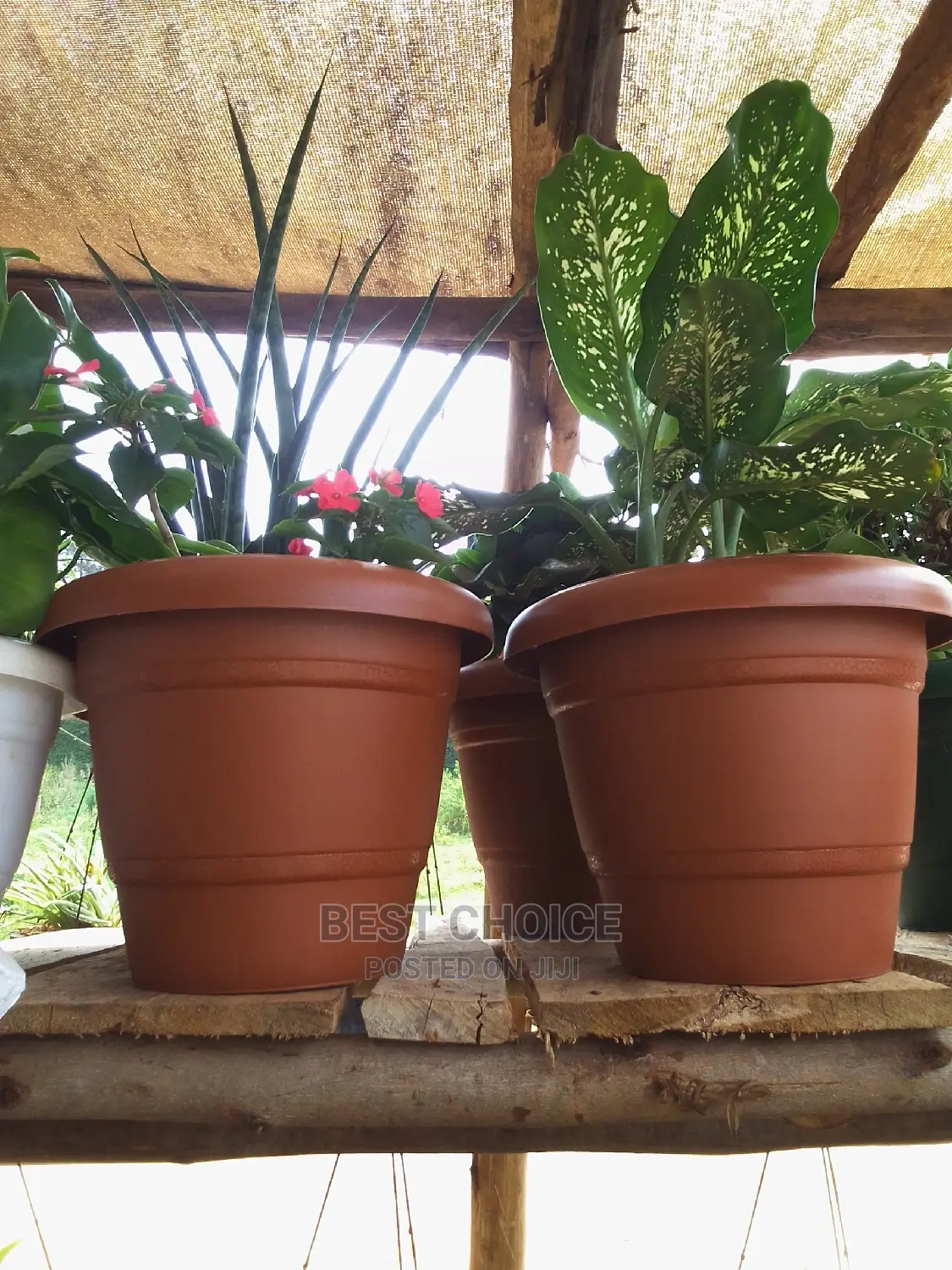 Concrete Planters, Potted Plants, Hanging Flower/Plant Pots.