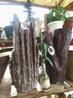 Concrete Planters, Potted Plants, Hanging Flower/Plant Pots.