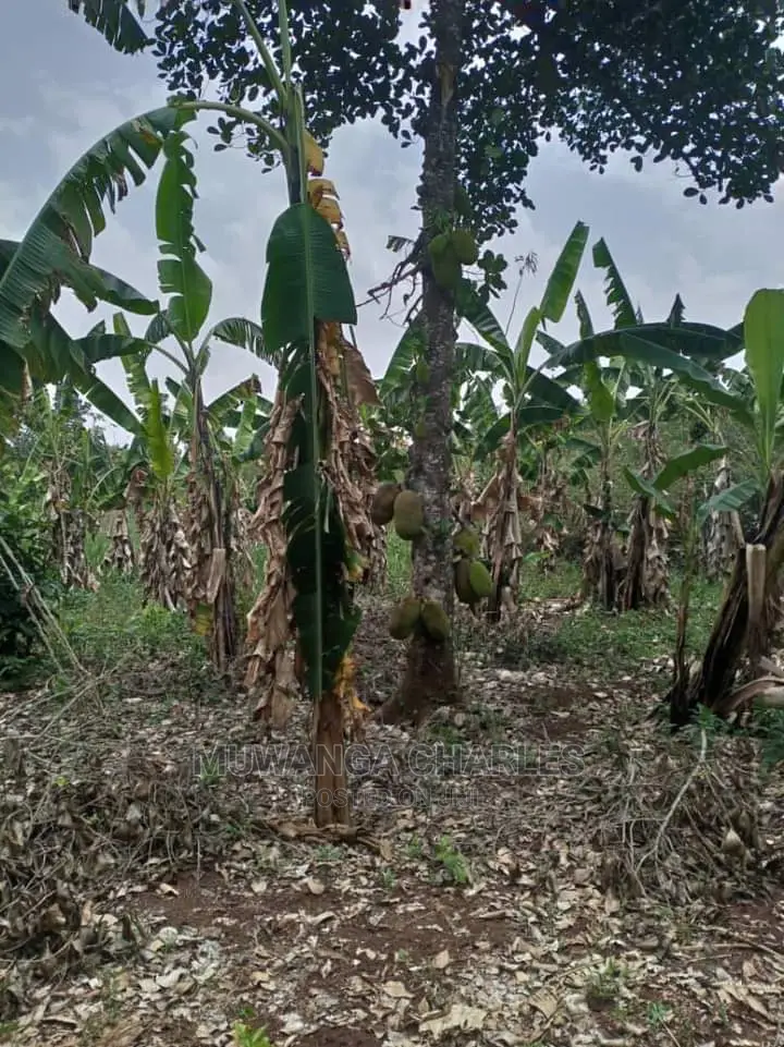 4acres for Sale in Zirobwe Wabutungulu