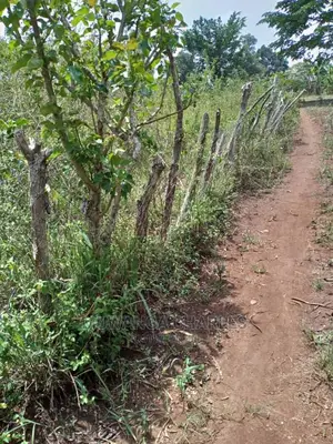 4acres for Sale in Zirobwe Wabutungulu