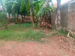 1acre of Land for Sale in Buwate