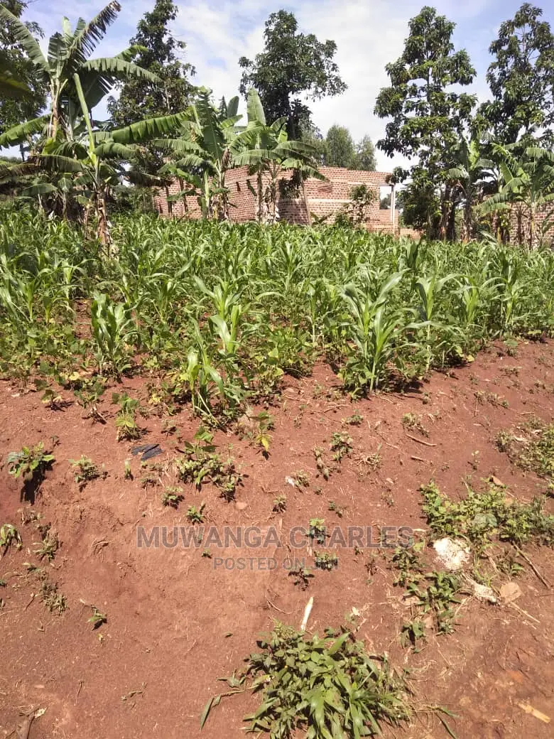 1acre of Land for Sale in Buwate