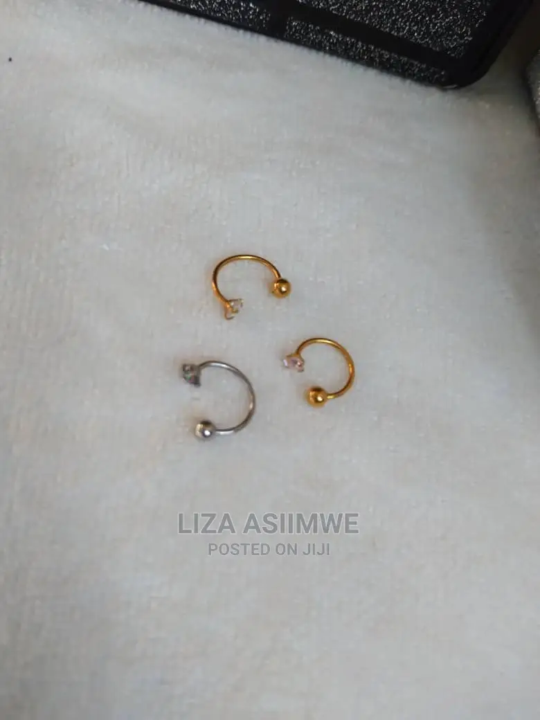 Quality Screw Nose Pins Available