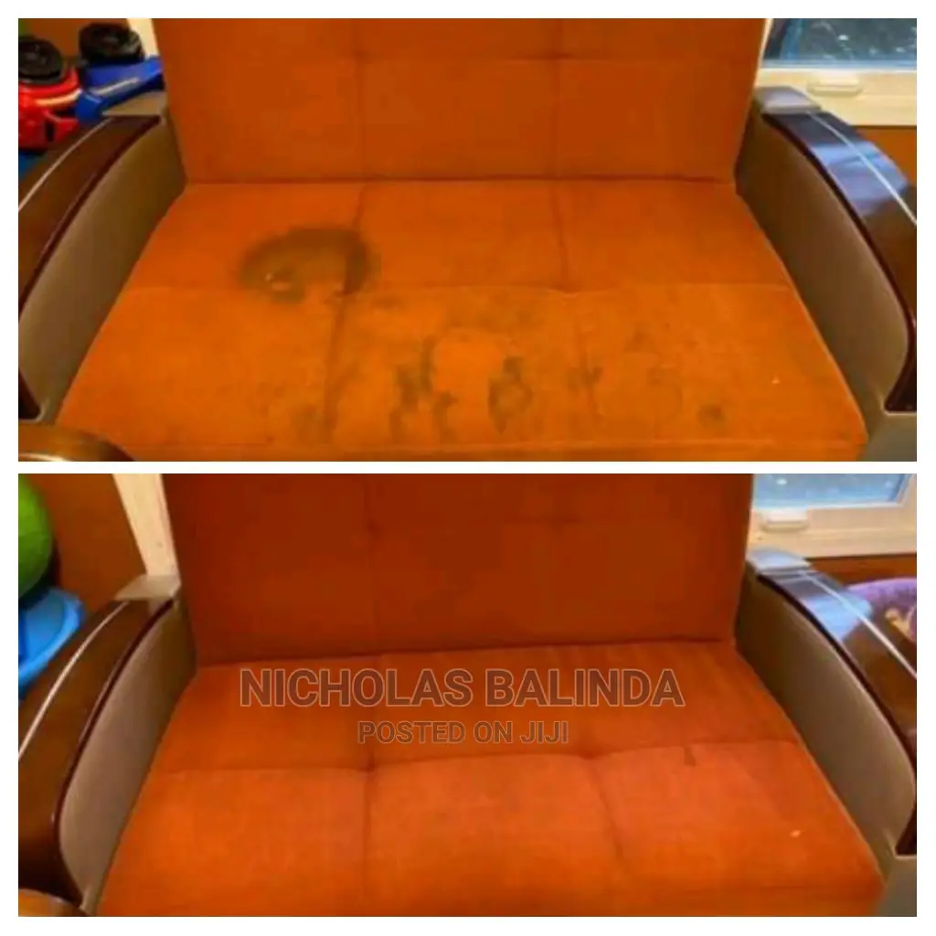 Professional Stains Treatment on the Sofa