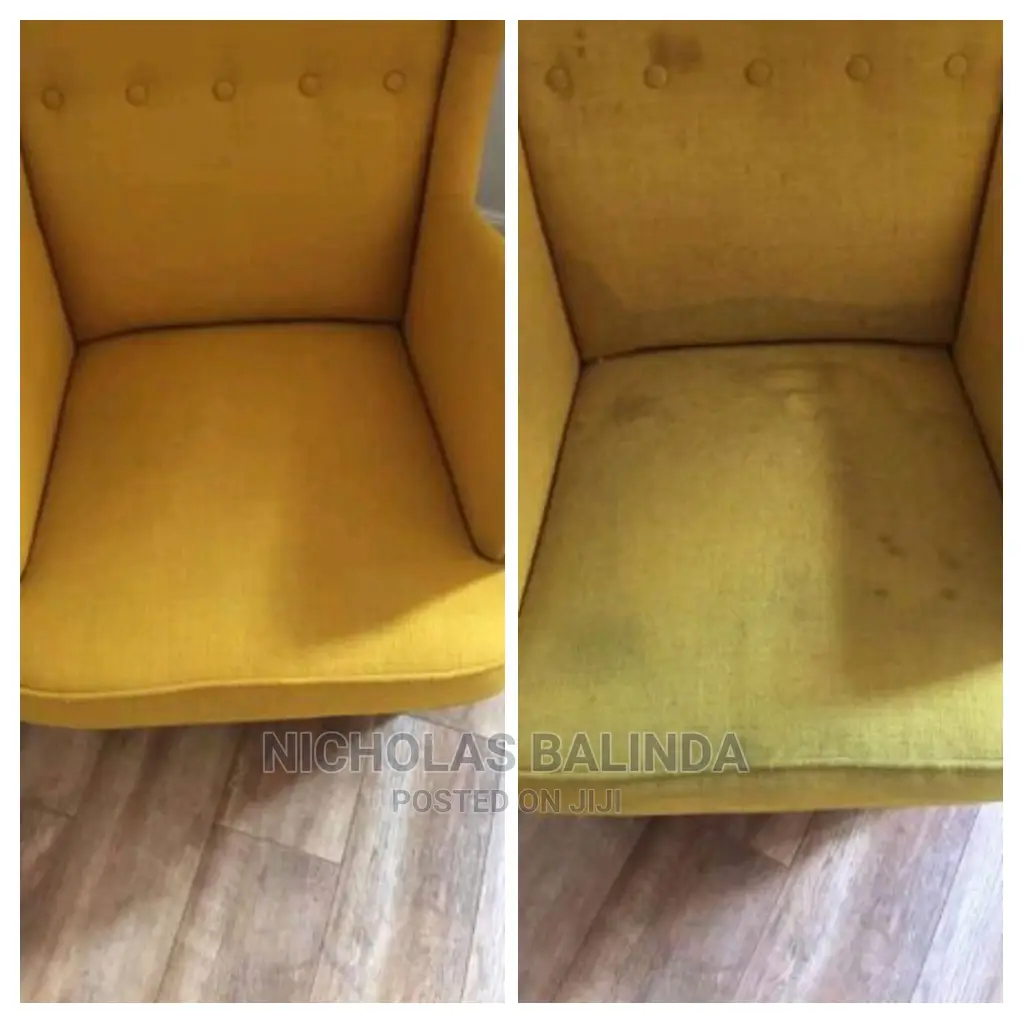 Sofa Cleaners to Remove All Dirt