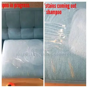 Shampooing in Progress Stains Coming Out