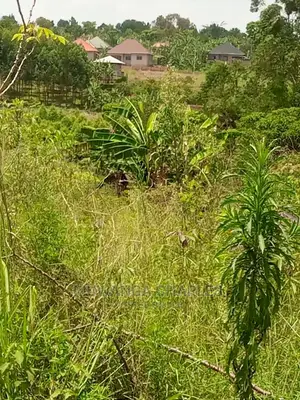 50decimals Plot of Land for Sale in Buwate