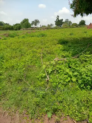 50decimals Plot of Land for Sale in Buwate