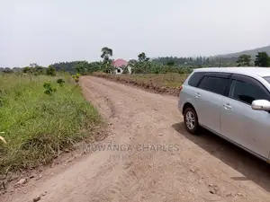 100x100ft Plot of Land for Sale in Kira Nsasa