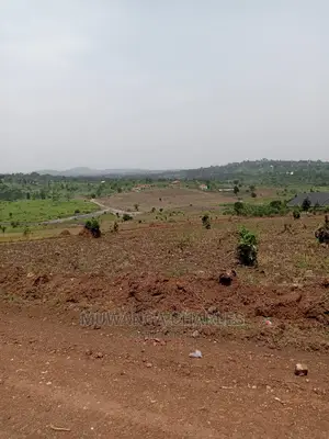 100x100ft Plot of Land for Sale in Kira Nsasa