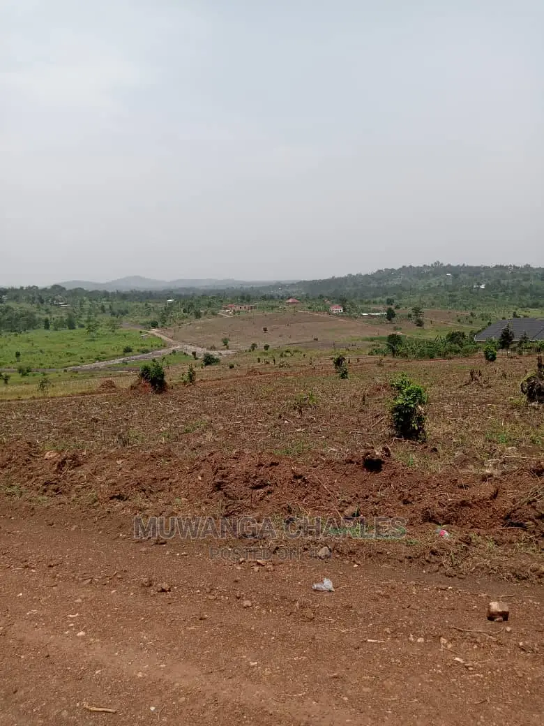 100x100ft Plot of Land for Sale in Kira Nsasa