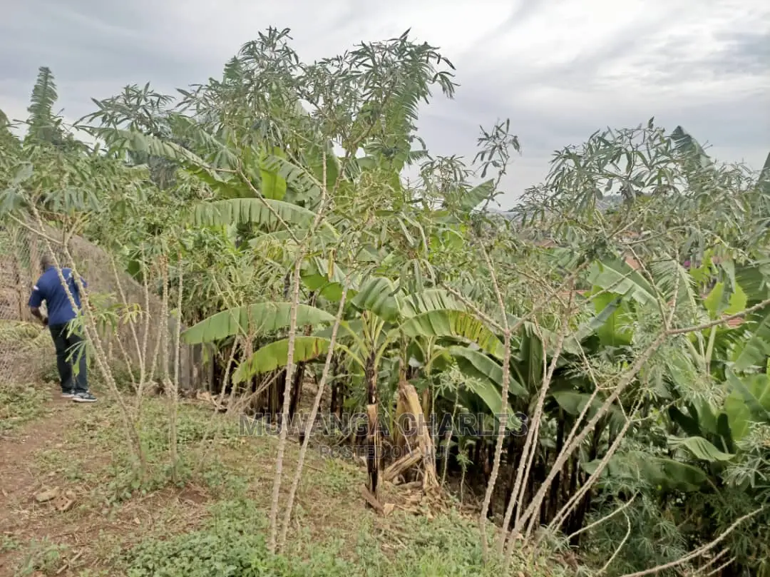 1acre of Land for Sale in Kira Bulindo