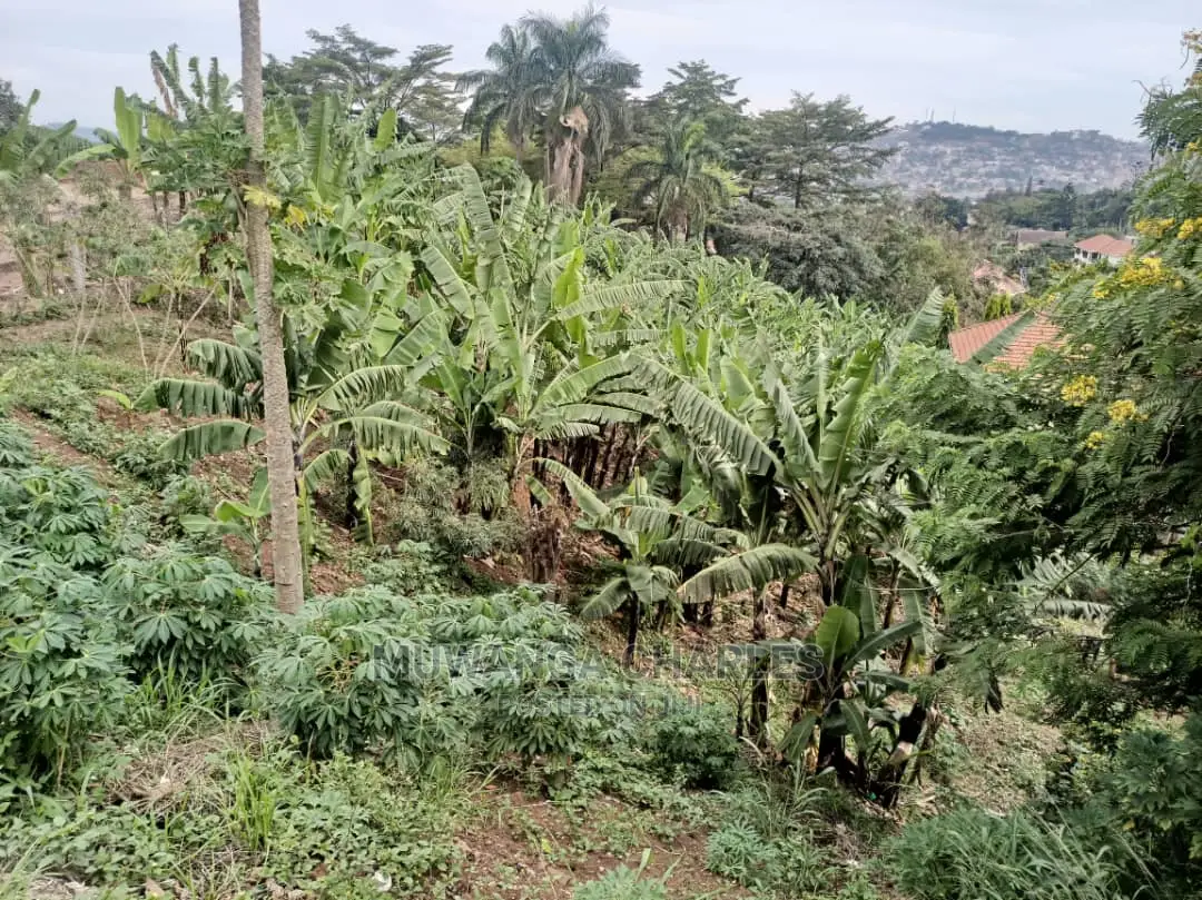1acre of Land for Sale in Kira Bulindo